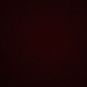 Meet your Posher, Karli